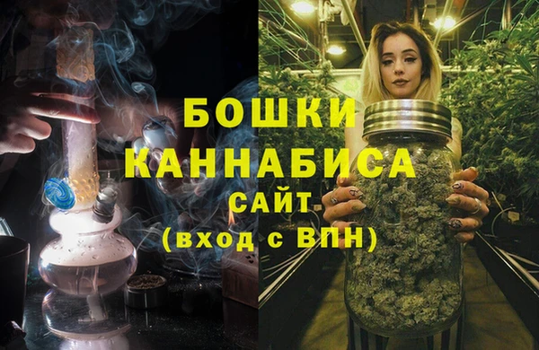 ECSTASY Гусь-Хрустальный